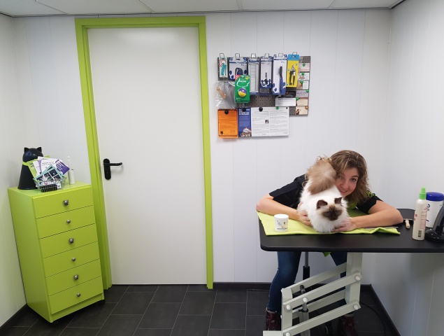 Foto salon.jpg Foto salon.jpg